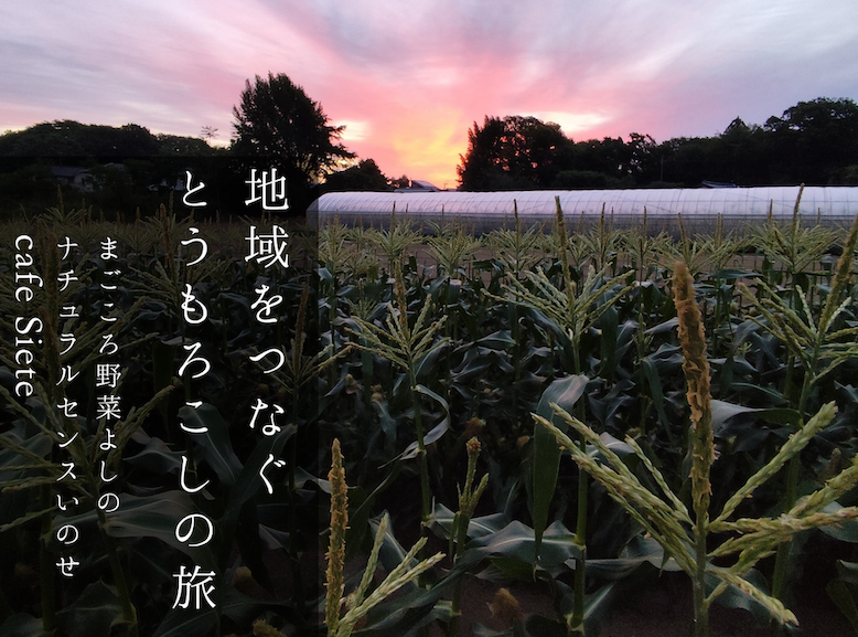 『ちくせいのたり暮らし』第3号発行！
